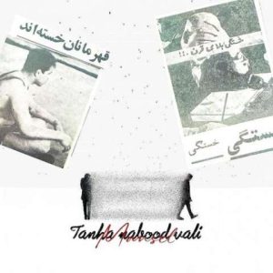 دانلود آهنگ مهدی مانسل به نام تنها نبود ولی