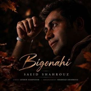 دانلود آهنگ سعید شهروز به نام بی گناهی